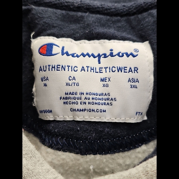 Champion Gray Hoodie with Blue Champion Logos - Picture 5 of 5